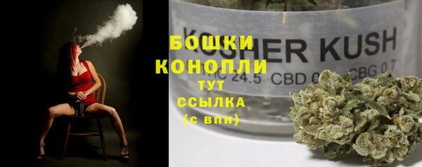 экстази Арсеньев