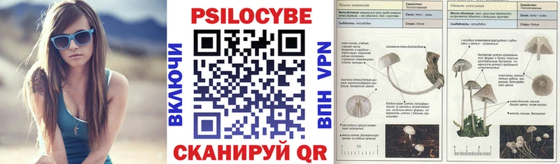 kraken зеркало  Рассказово  Псилоцибиновые грибы мухоморы 
